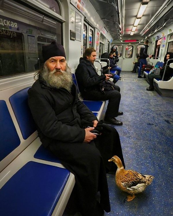 Strange Russians (25 pics)