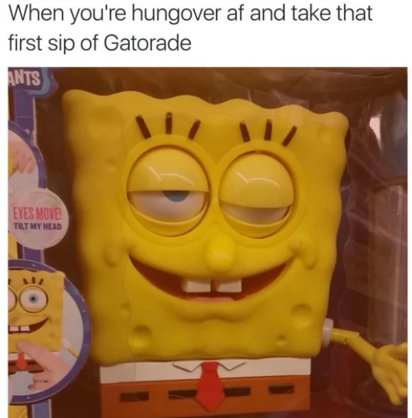 Memes About Alcohol (25 pics)