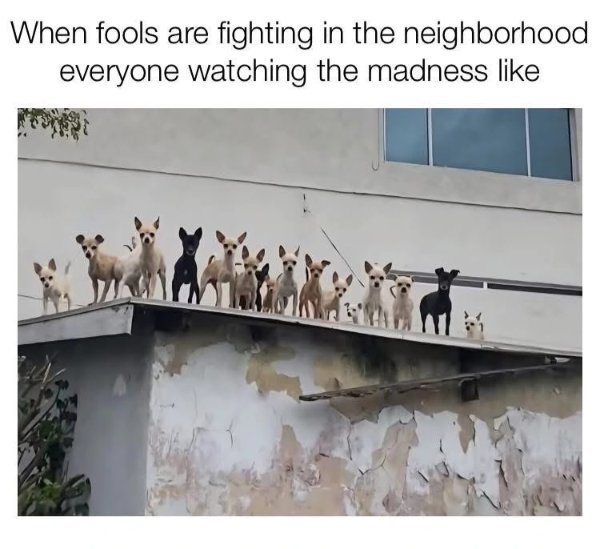 Funny Memes (36 pics)