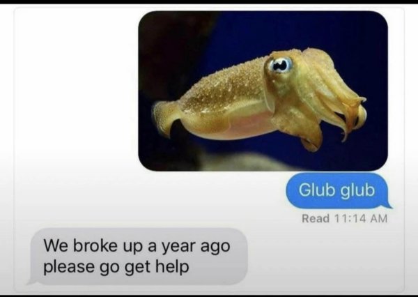 Funny Memes (36 pics)