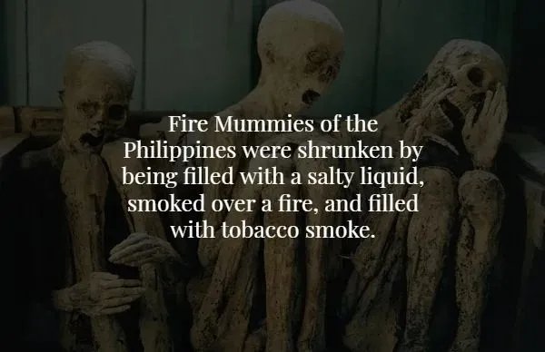 Creepy Facts (16 pics)