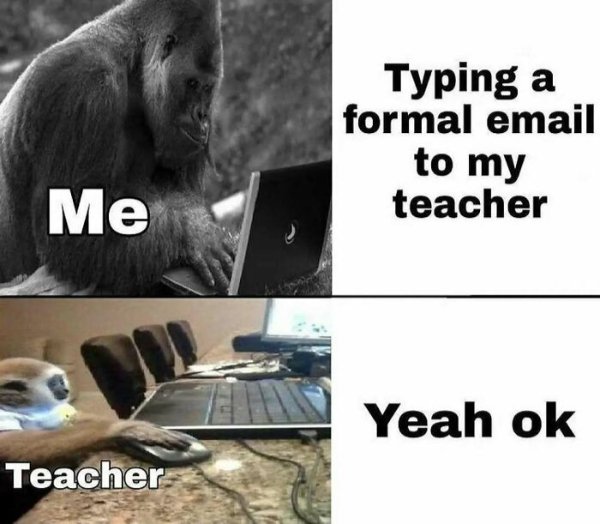 Funny Memes (36 pics)