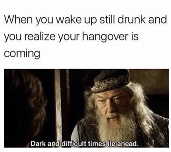 Memes About Alcohol (25 pics)