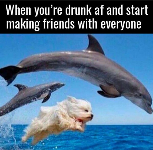 Memes About Alcohol (25 pics)