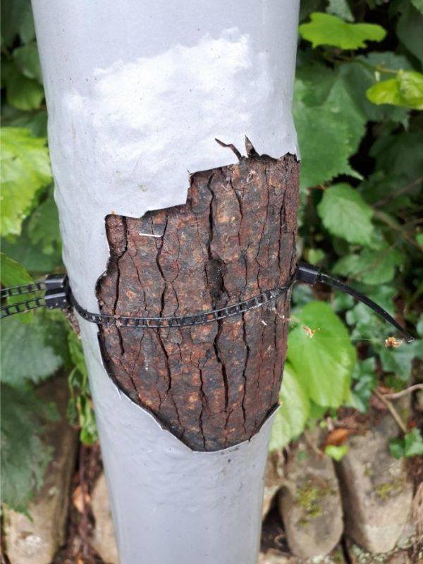 Interesting Finds (42 pics)
