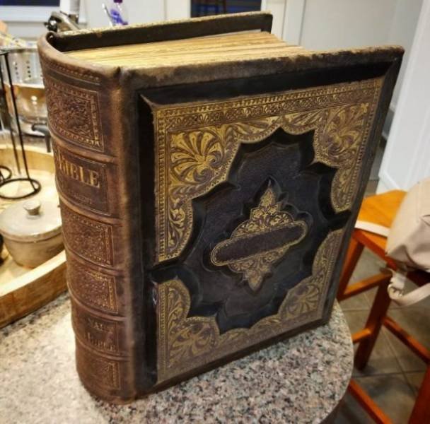 Interesting Finds (42 pics)