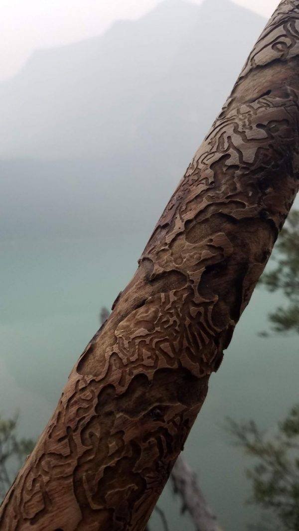 Interesting Finds (42 pics)
