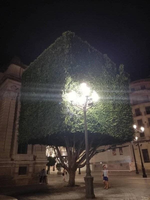 Interesting Finds (42 pics)