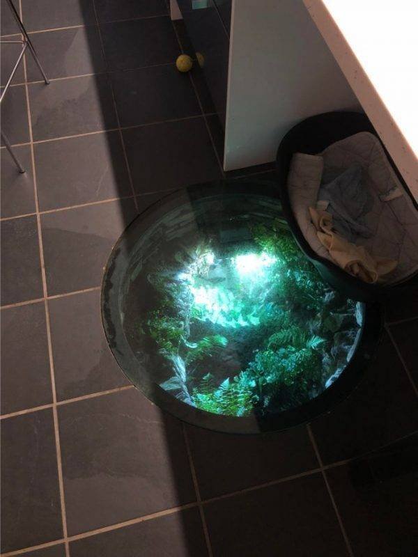 Interesting Finds (42 pics)