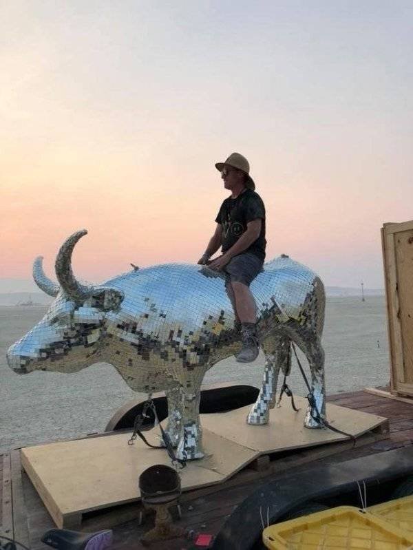 Interesting Finds (42 pics)