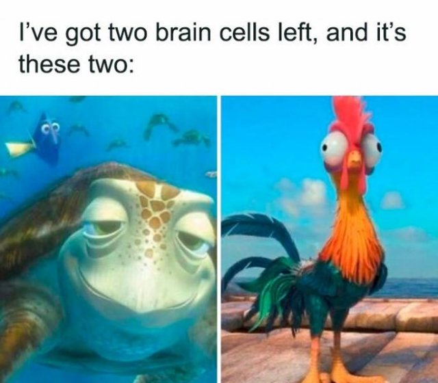 Memes For Cartoon Fans (23 pics)