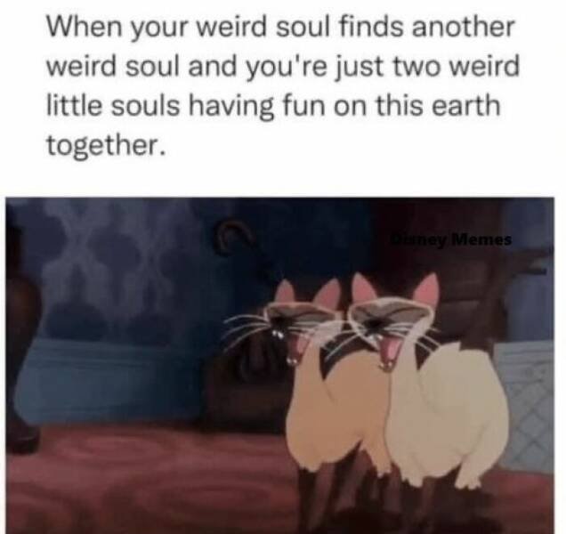 Memes For Cartoon Fans (23 pics)