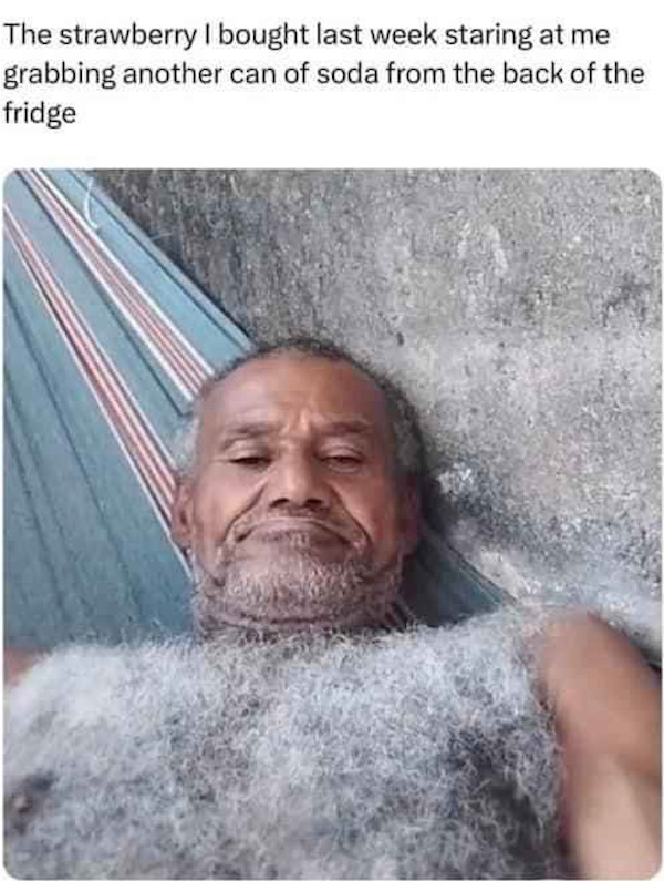 Funny Memes (30 pics)