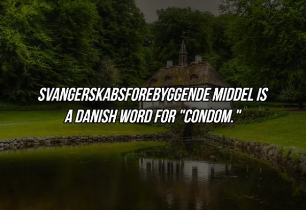 Random Knowledges (16 pics)