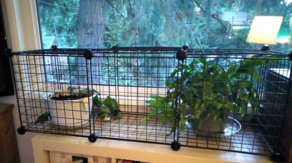 Redneck Inventions And Repairs (30 pics)