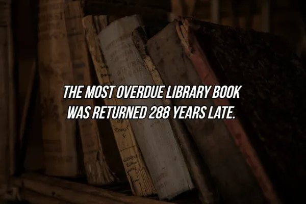 Random Knowledges (16 pics)