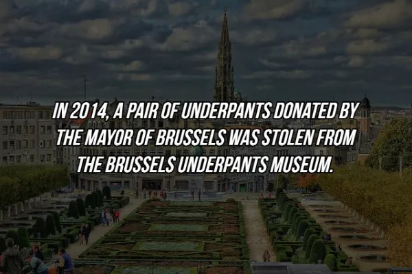 Random Knowledges (16 pics)