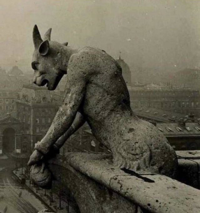 Interesting Finds And Discoveries (43 pics)