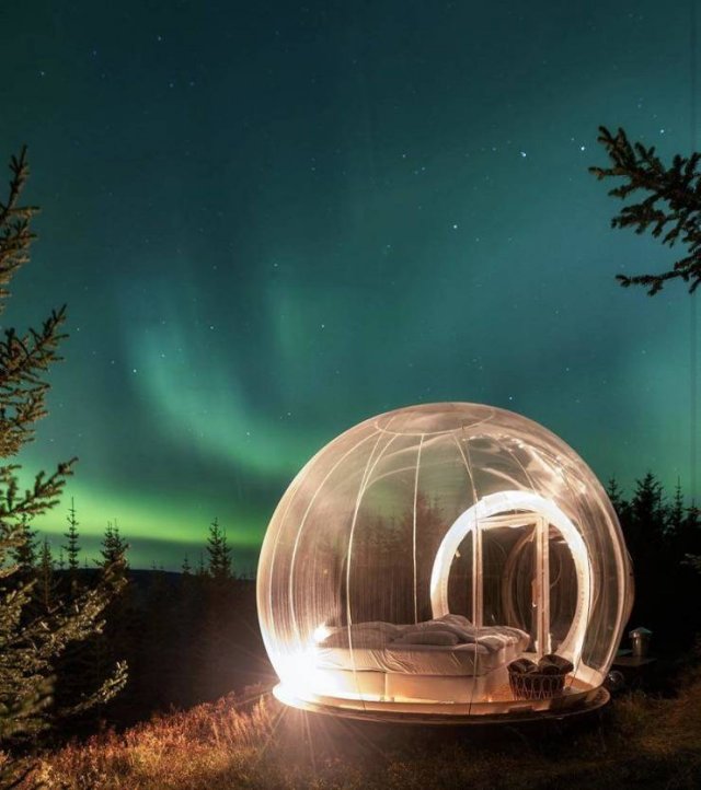 Interesting Finds And Discoveries (43 pics)
