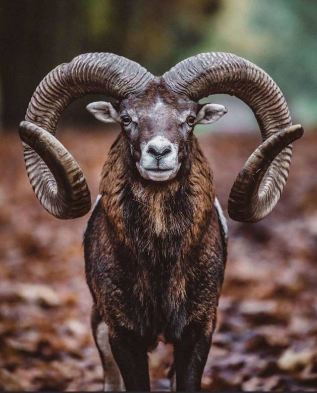 Interesting Finds And Discoveries (43 pics)