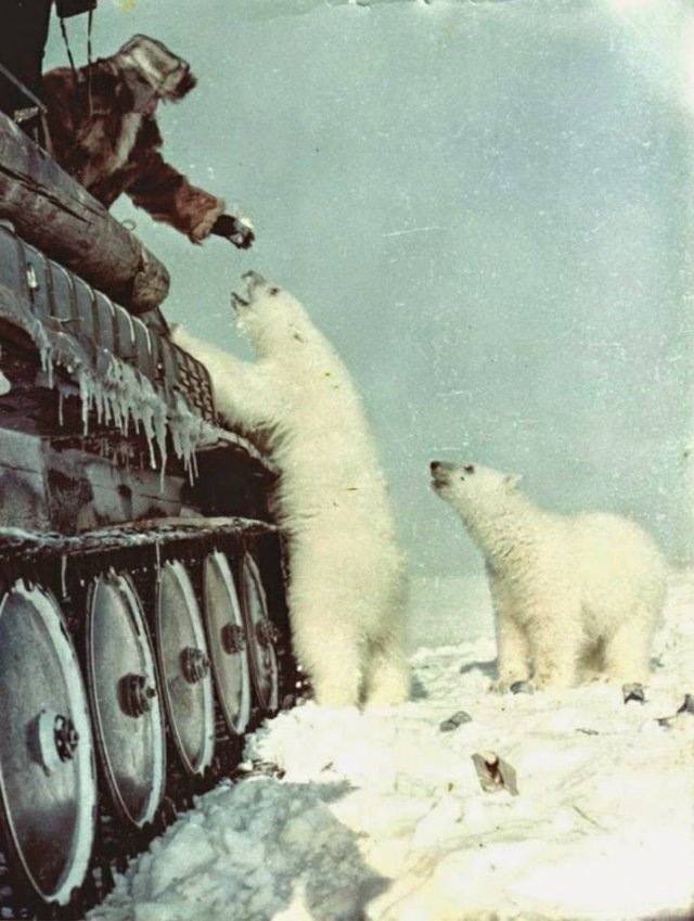 Interesting Finds And Discoveries (43 pics)