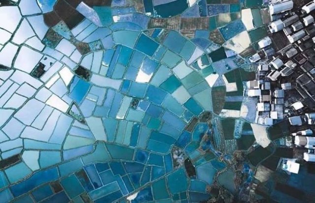 Interesting Finds And Discoveries (43 pics)