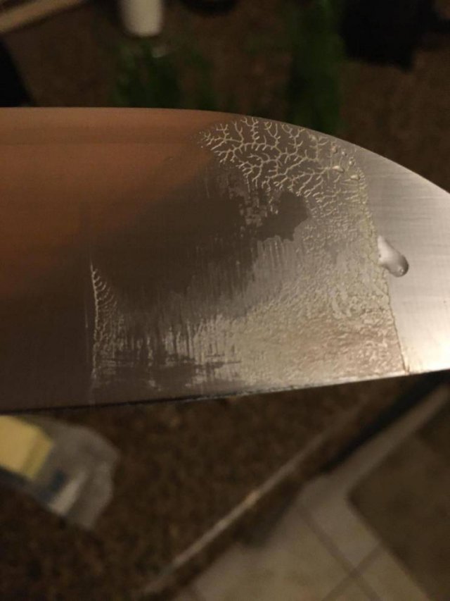 Interesting Finds And Discoveries (43 pics)
