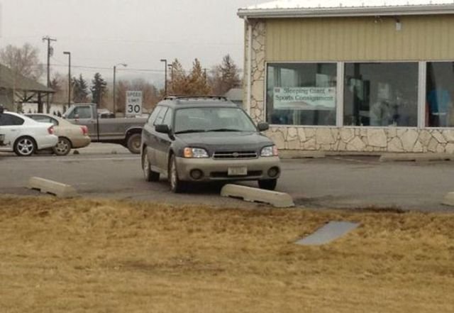 They Don't Care About The Rules (23 pics)