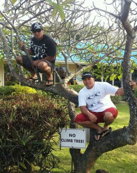 They Don't Care About The Rules (23 pics)