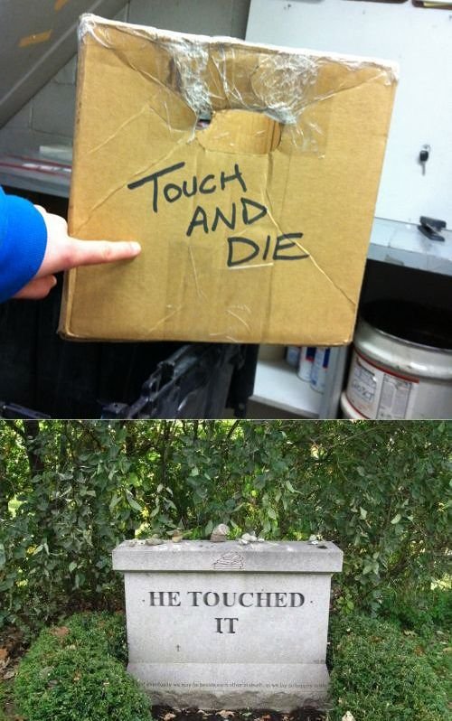 They Don't Care About The Rules (23 pics)