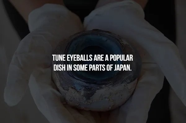 Crazy Facts (16 pics)