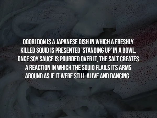 Crazy Facts (16 pics)