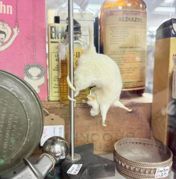 Weird Finds In Thrift Shops (46 pics)