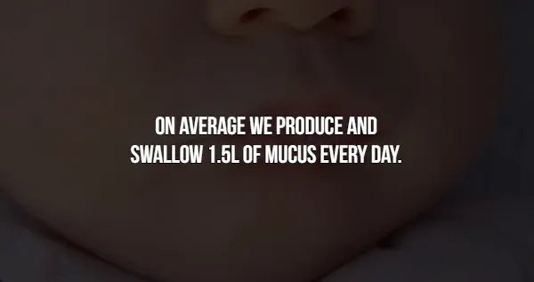 Crazy Facts (16 pics)