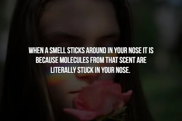 Crazy Facts (16 pics)