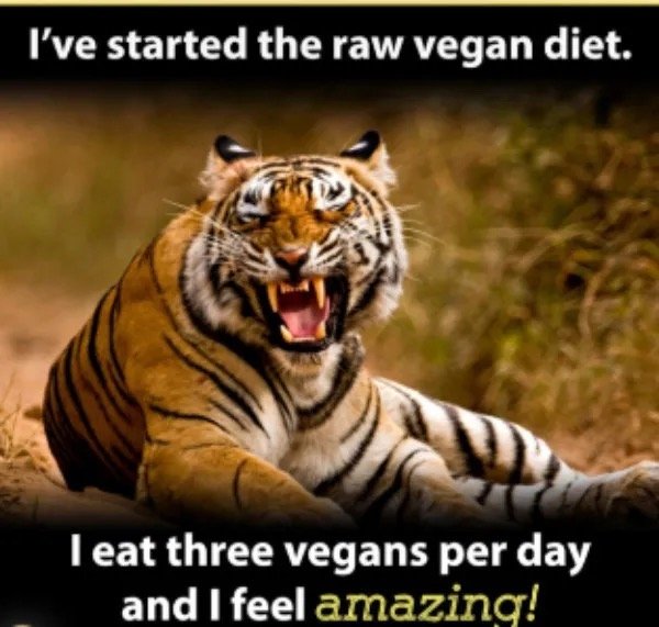 Funny Memes (26 pics)