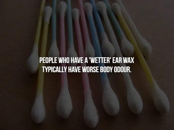 Crazy Facts (16 pics)