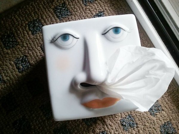 Weird Finds In Thrift Shops (46 pics)