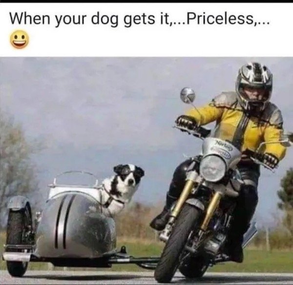 Funny Memes (26 pics)