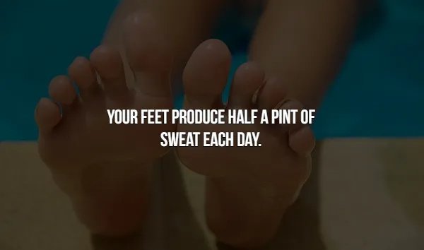 Crazy Facts (16 pics)