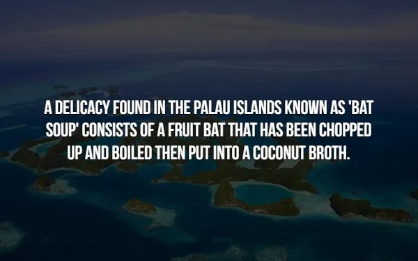Crazy Facts (16 pics)