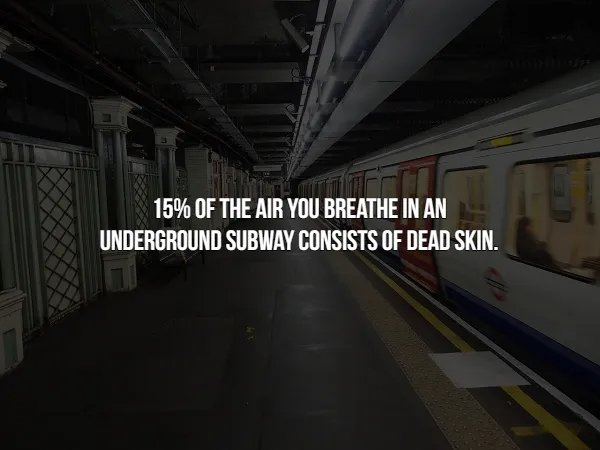 Crazy Facts (16 pics)