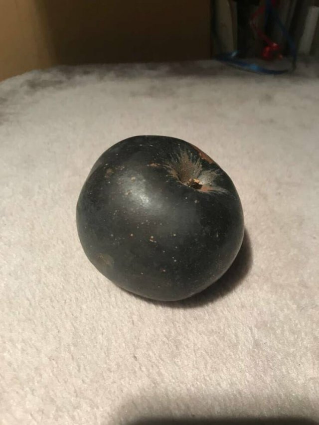 Interesting Finds And Discoveries (20 pics)