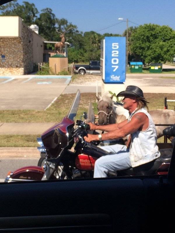 This Is America (43 pics)