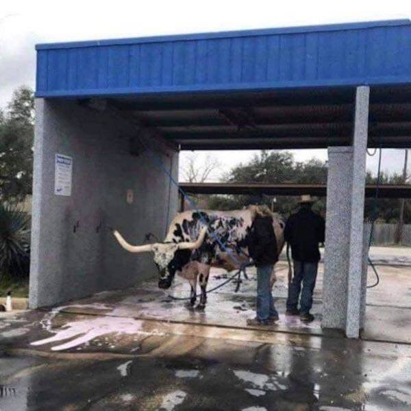 This Is America (43 pics)