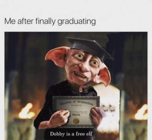 Graduation Memes (36 pics)