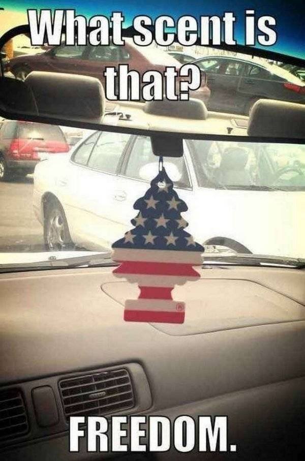 This Is America (43 pics)