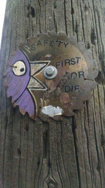 Funny Work Photos (64 pics)