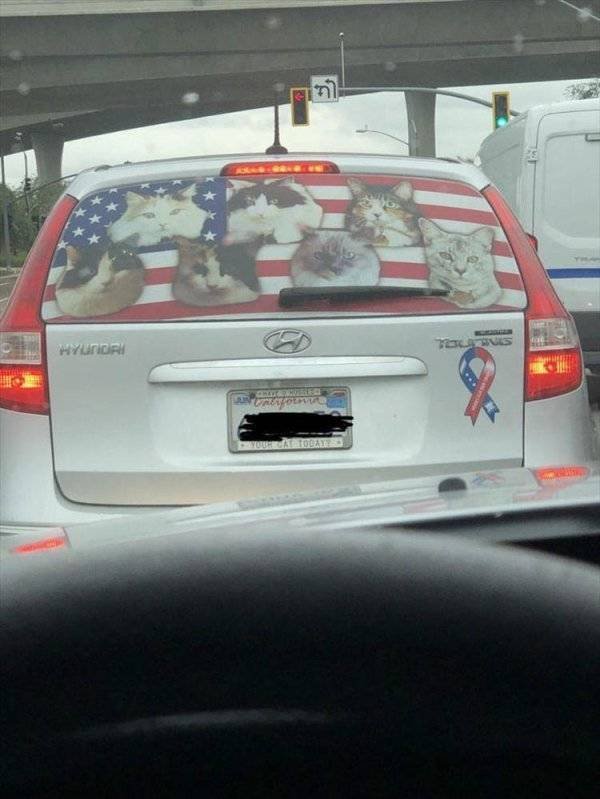 This Is America (43 pics)