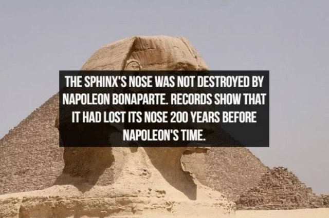 Interesting Facts (19 pics)